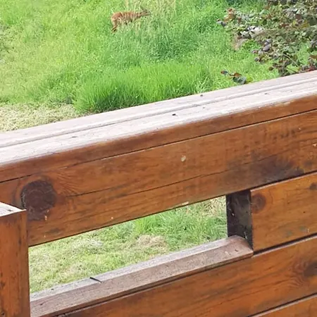 Oaza Zagozd Olchowiec (Drawsko)