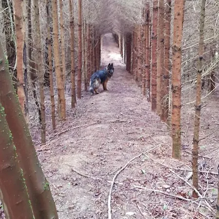 Oaza Zagozd Olchowiec (Drawsko)