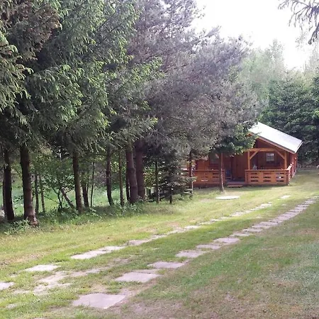 Oaza Zagozd * Olchowiec (Drawsko)