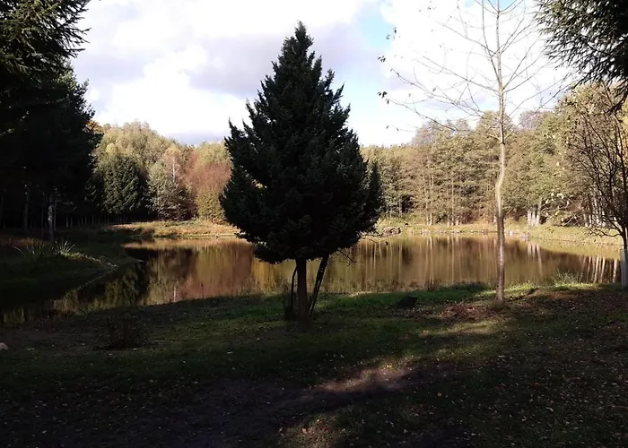 Oaza Zagozd Olchowiec (Drawsko)