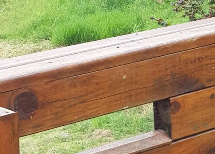 Oaza Zagozd Olchowiec (Drawsko)