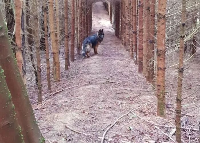 Oaza Zagozd Olchowiec (Drawsko)