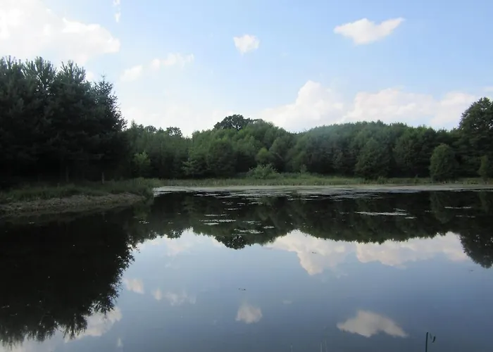 Hébergement de vacances Oaza Zagozd *