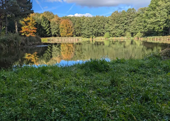 Oaza Zagozd 別荘 Olchowiec (Drawsko)